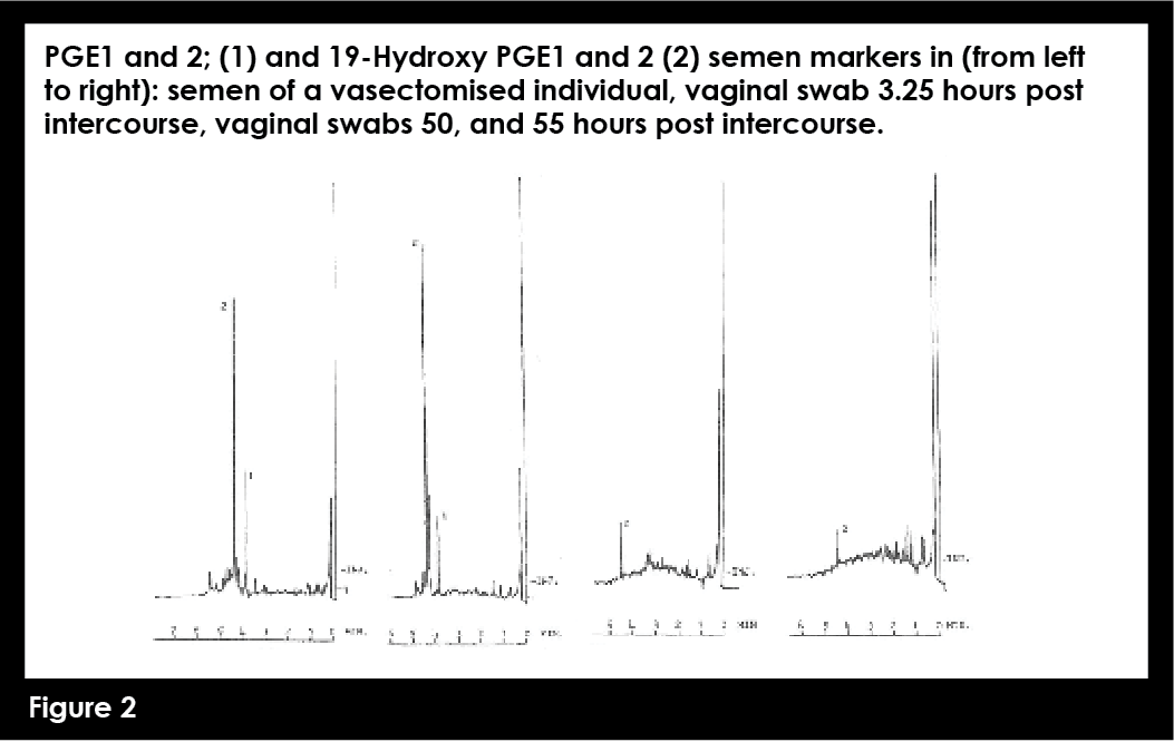 Forensic Investigations: How Have They Changed?