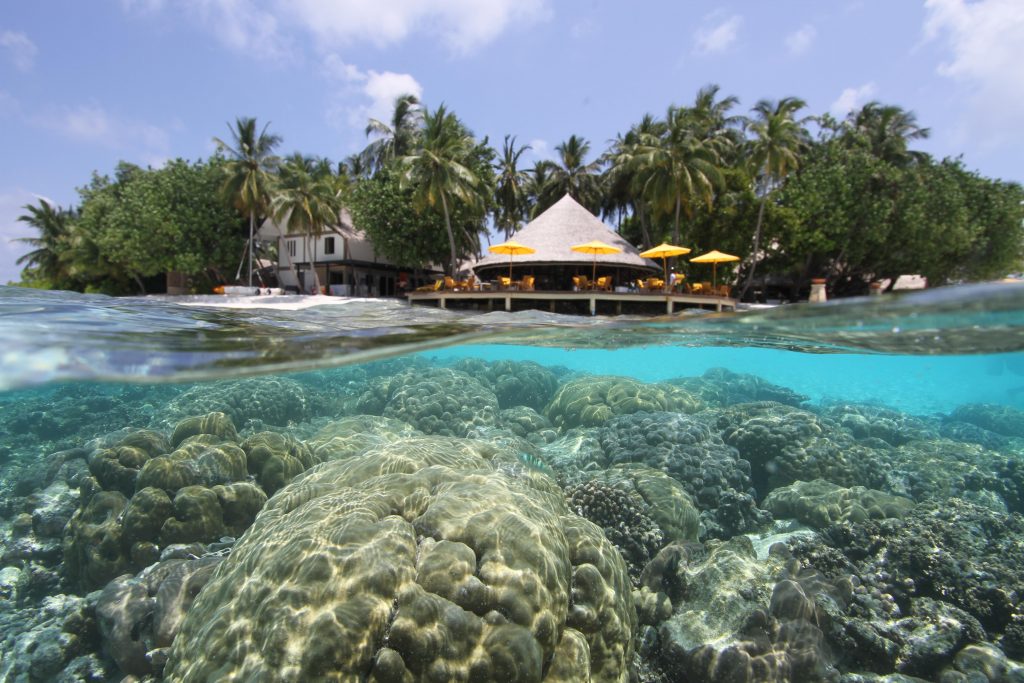safari island maldives house reef