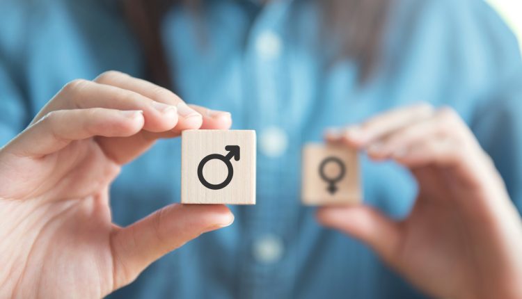What are transgender’s employment rights?
