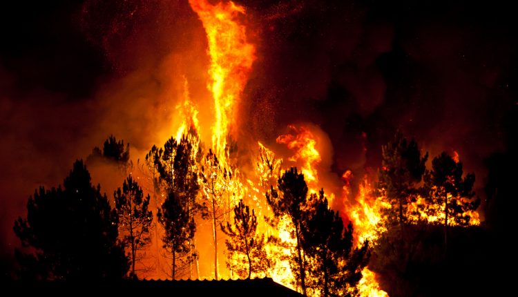 Forest fire near houses in Povoa de Lanhoso, Portugal