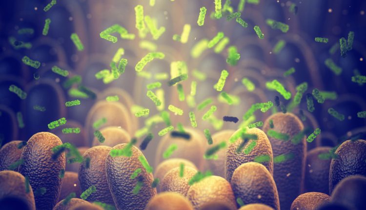 Microbes & Skincare: Insights from Innovator Activity at EPO