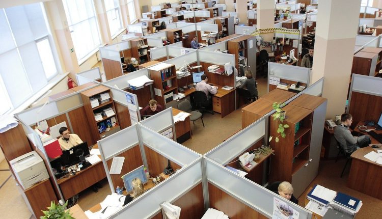 Office workers sat at desks