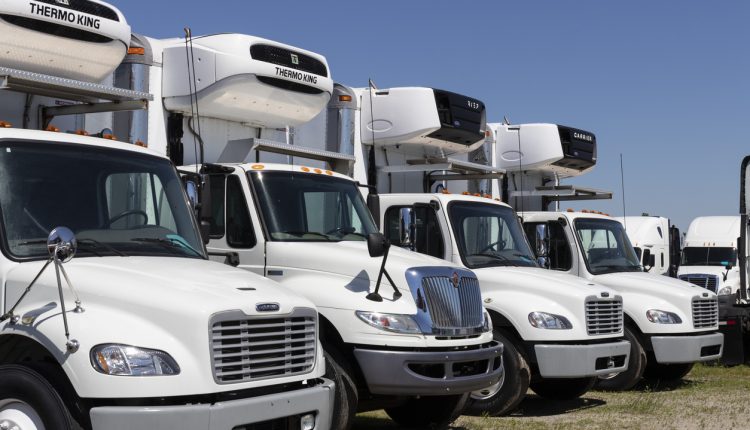 Freightliner and Navistar international semi-tractor trailer trucks lined up for sale