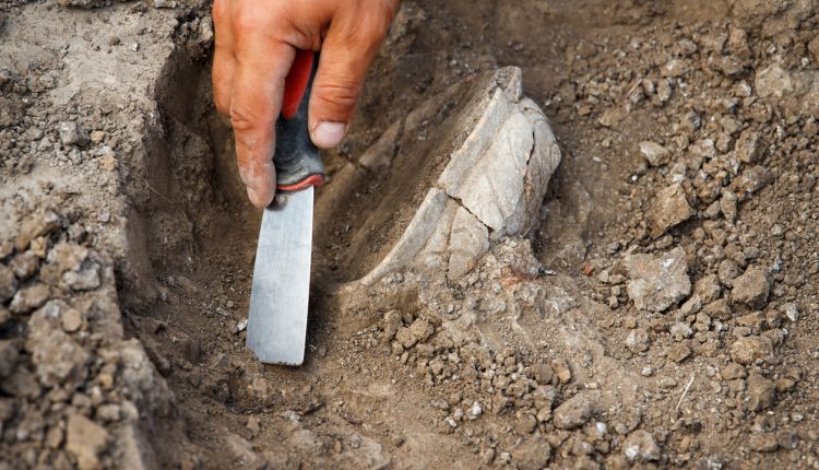 Archaeological excavations, archaeologists work, dig up an ancient clay artifact with special tools