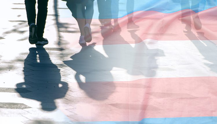 Shawn Twing delves into the issues facing transgender people under US employment law.