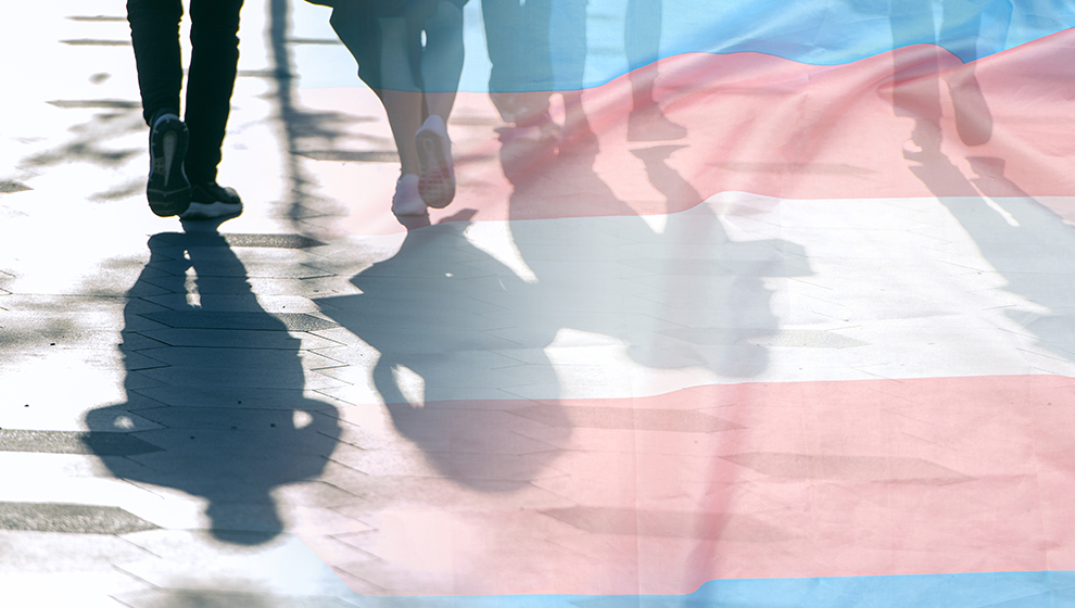 Shawn Twing delves into the issues facing transgender people under US employment law.