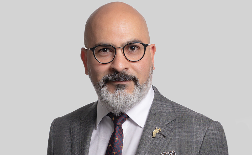 Iranian-Canadian immigration lawyer wearing a grey suit.