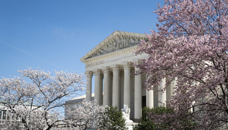 US Supreme Court with cherry blossoms.
