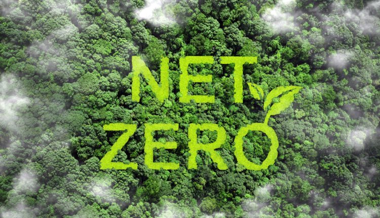 Net zero and carbon neutral concept.Net Zero text on green grass with forest for net zero greenhouse gas emissions target Climate neutral long term strategy on a green background. Carbon Neutrality.