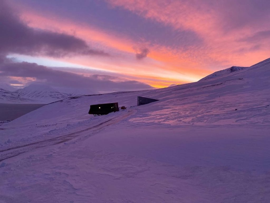 Oreo's Secret Doomsday Vault: The Cookie Stash That Could Survive the Apocalypse!