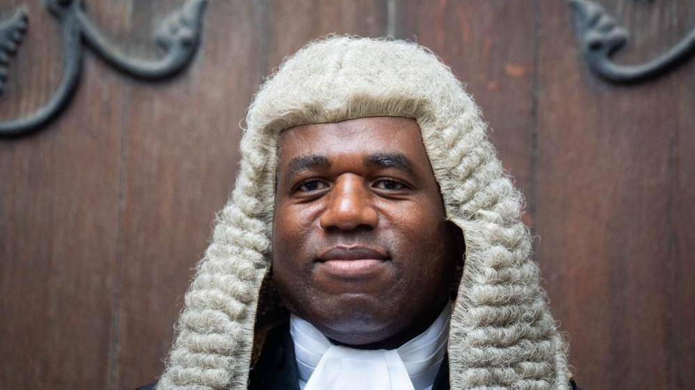 David Lammy wearing traditional judicial robes and a ceremonial wig during an official portrait.