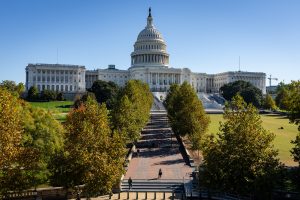 The United States Capitol building in Washington, D.C., symbolising federal oversight and the balance of powers in government
