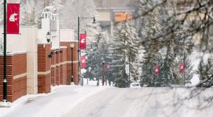 Washington State University campus and Skagit County Superior Court, where a civil negligence lawsuit is being heard.